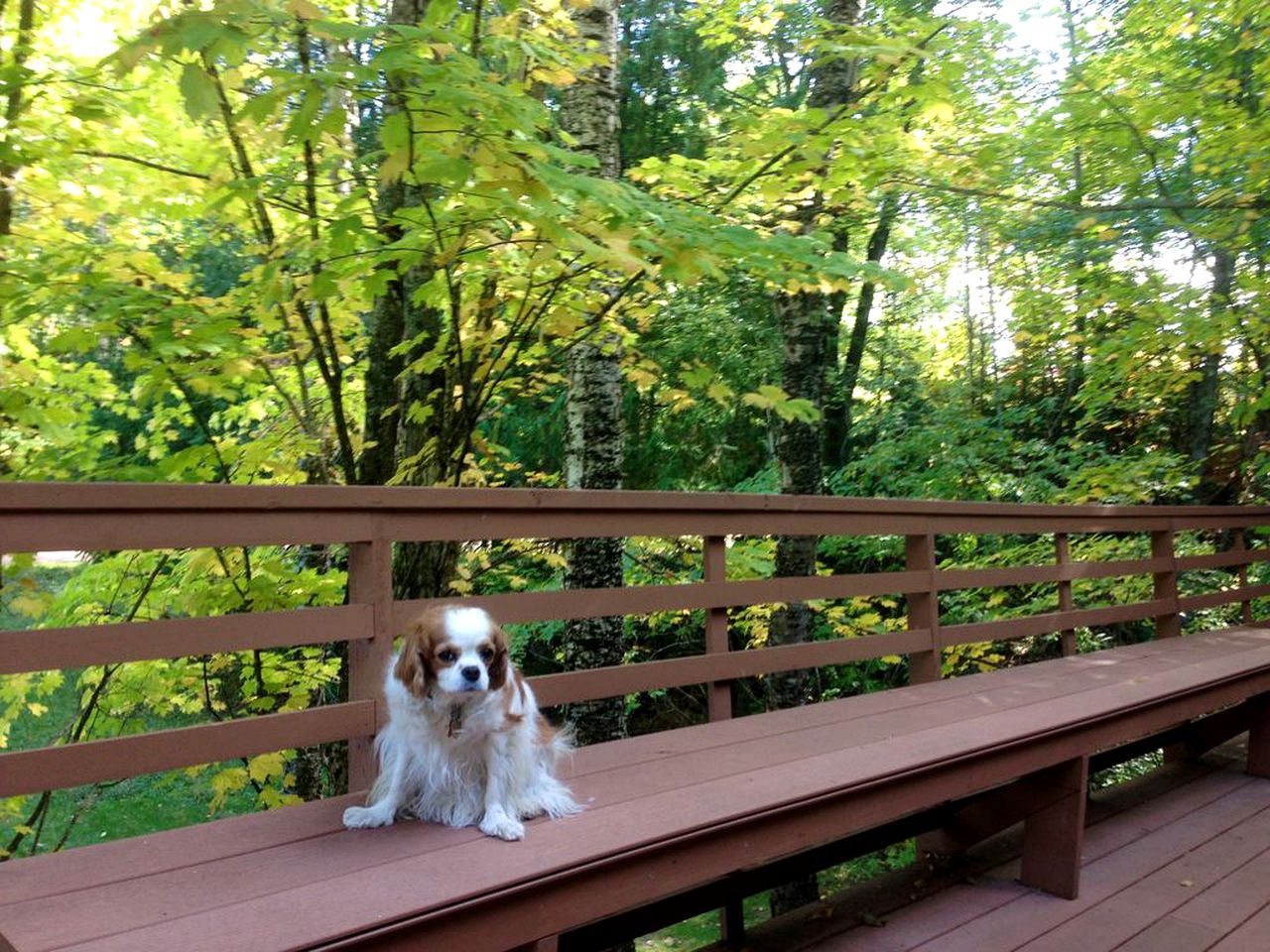 Secluded Waterfront Cabin Rental on Lake Superior near Red Cliff, Wisconsin