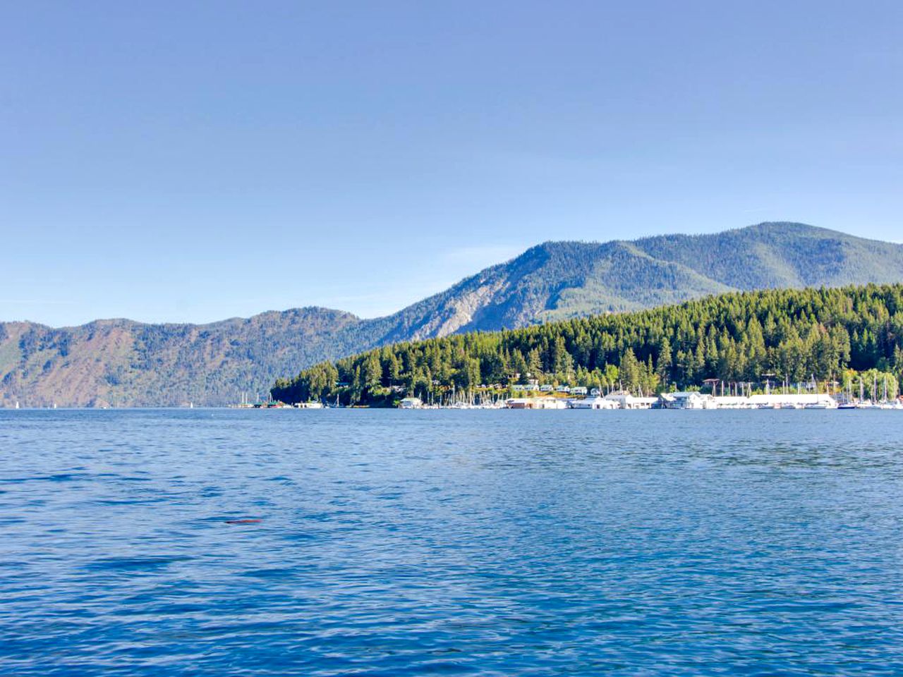 Floating Vacation Cabin in Bayview, Idaho