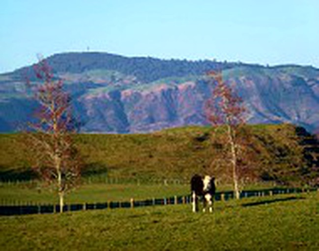 Cottages (Kahuranaki, North Island, New Zealand)