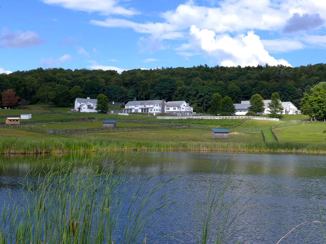 Luxury Suite Rental on Ranch with Stables near Cooperstown, New York