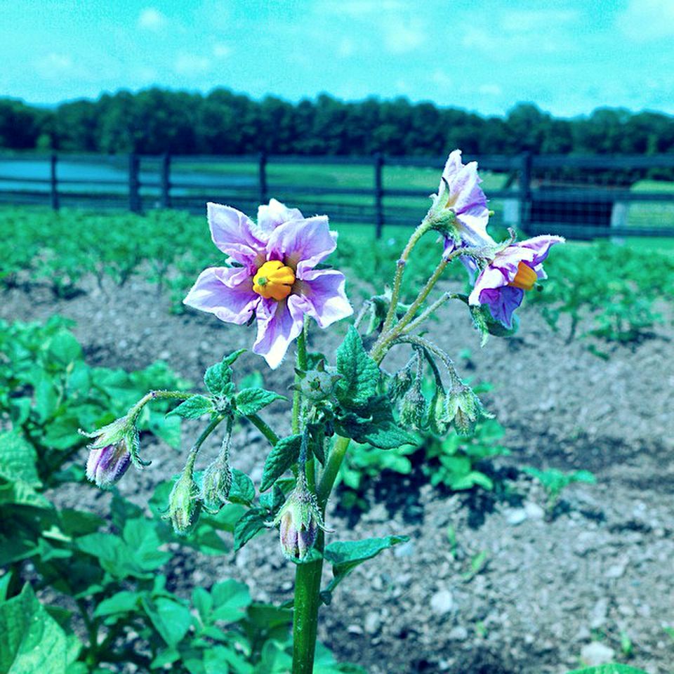 Spacious Vacation Rental on Ranch with Pool in Fly Creek, New York