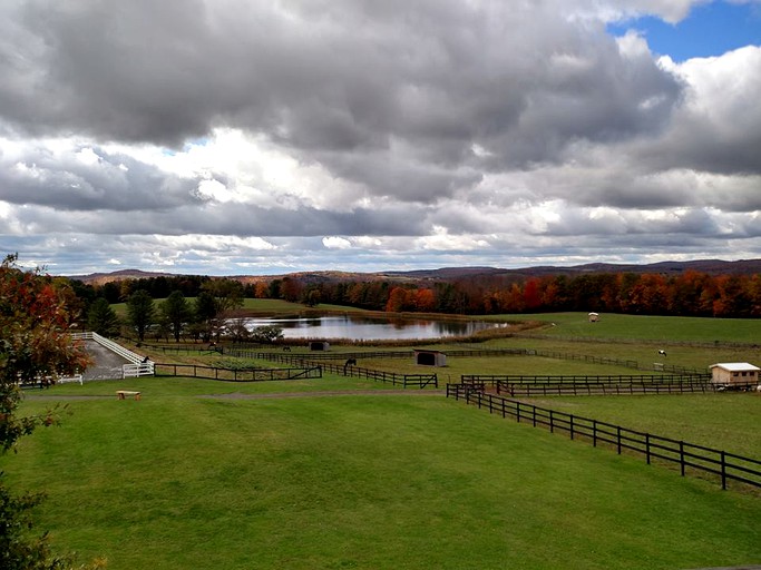 Nature Lodges (Fly Creek, New York, United States)