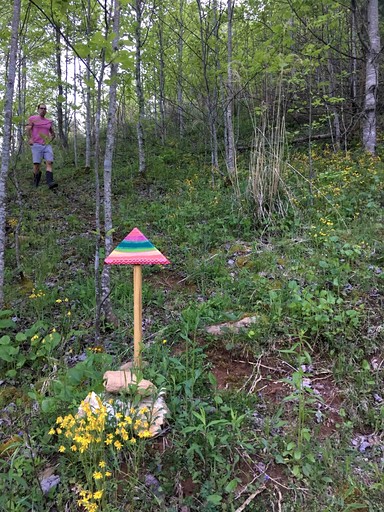 Off Grid Tiny Cabin Ideal for Couples in Burnsville, North Caroline | Cabins (Burnsville, North Carolina, United States of America)