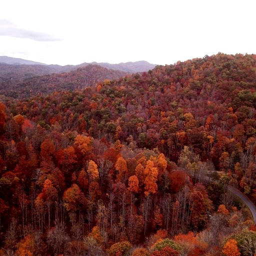 The Sky Breeze Cabin | Cabins (Nantahala, North Carolina, United States of America)