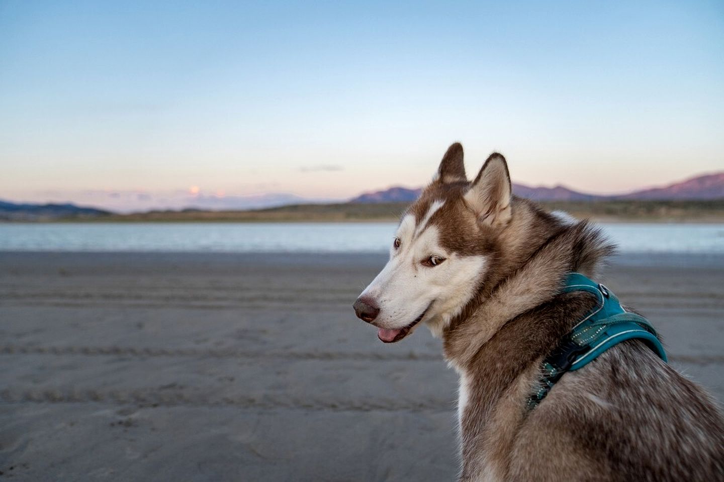 Beautiful Tiny House on Yuba Lake for a Romantic Glamping Escape on the Beach with Incredible Views in Utah