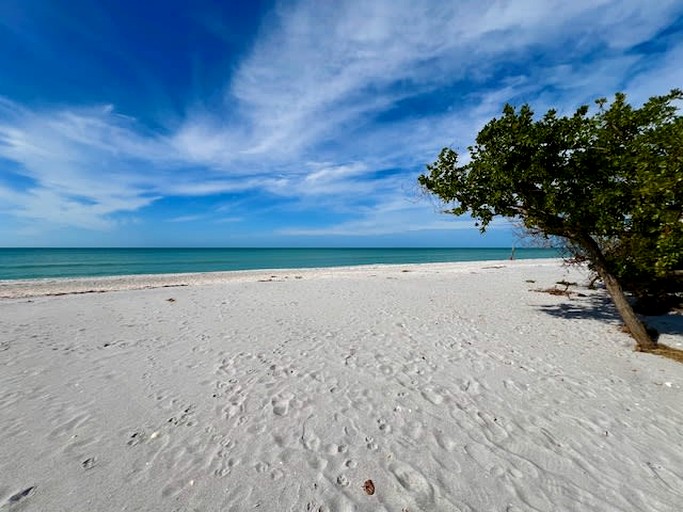 Cottages (United States of America, Placida, Florida)