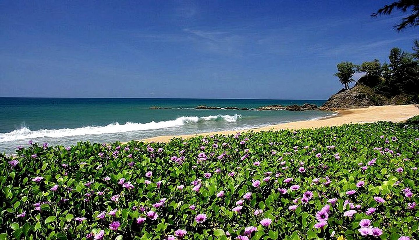 Beach Cabins at Eco-Glam Resort on Hidden Island of Koh Phra Thong, Southern Thailand