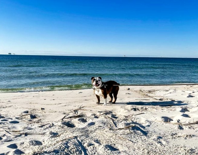 Beach Houses (United States of America, Gulf Shores, Alabama)