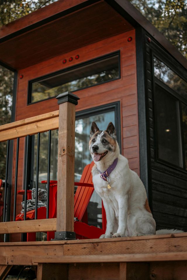 Incredible Tiny House Barbecue and Fire Pit Provided in Petawawa, Ontario
