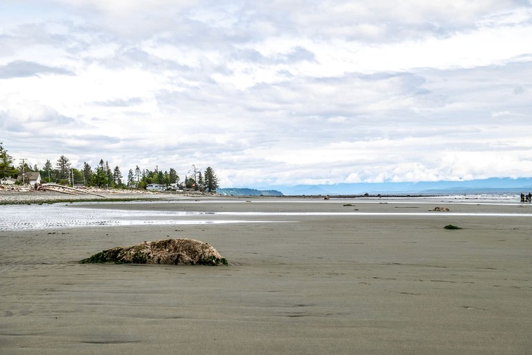 Cottages (Canada, Strathcona D (Oyster Bay-Bu*, British Columbia)