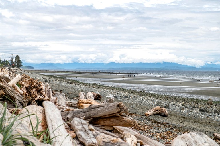 Cottages (Canada, Strathcona D (Oyster Bay-Bu*, British Columbia)
