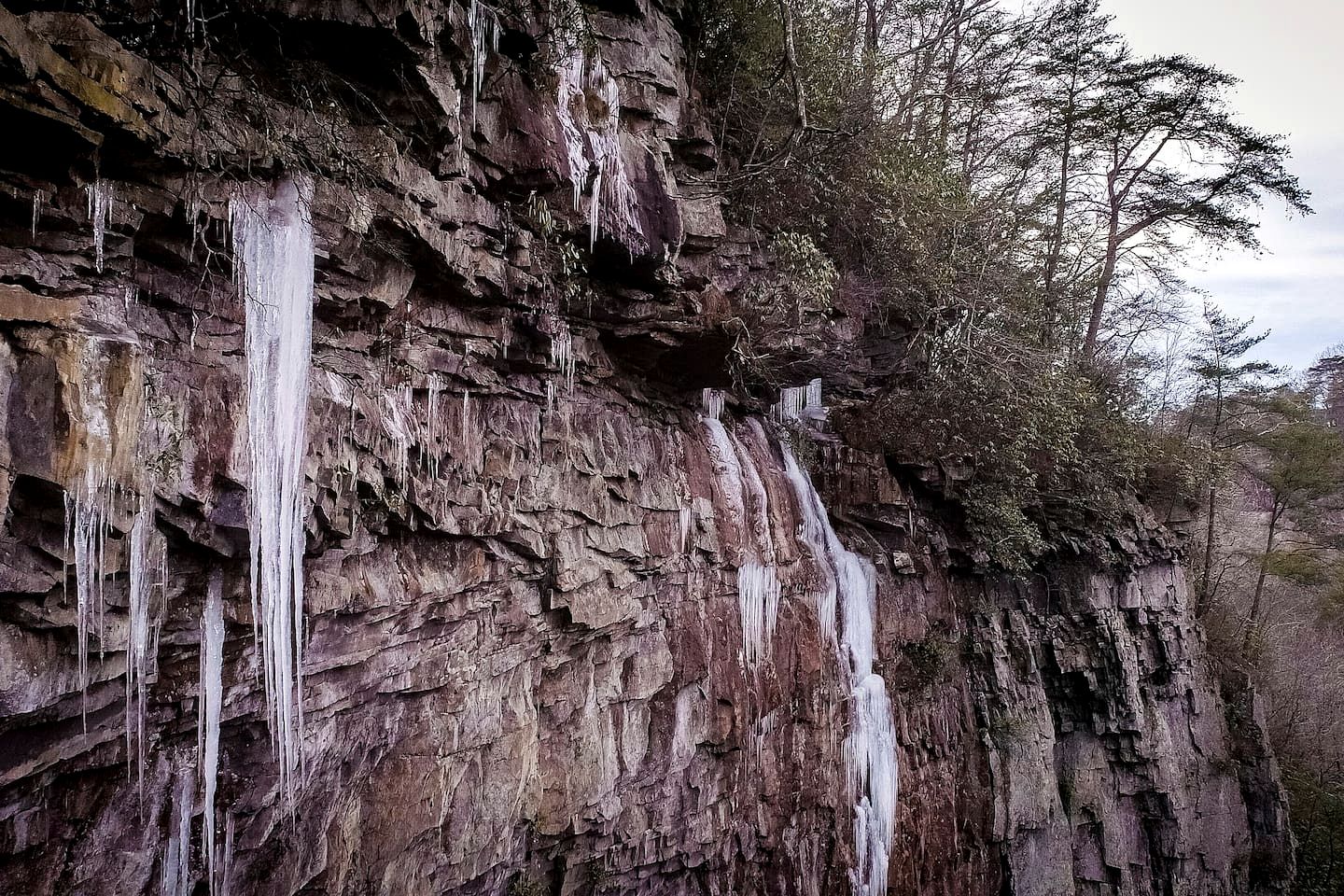 Charming Forest Cabin with Hot Tub & Covered Porch in Mentone, Alabama