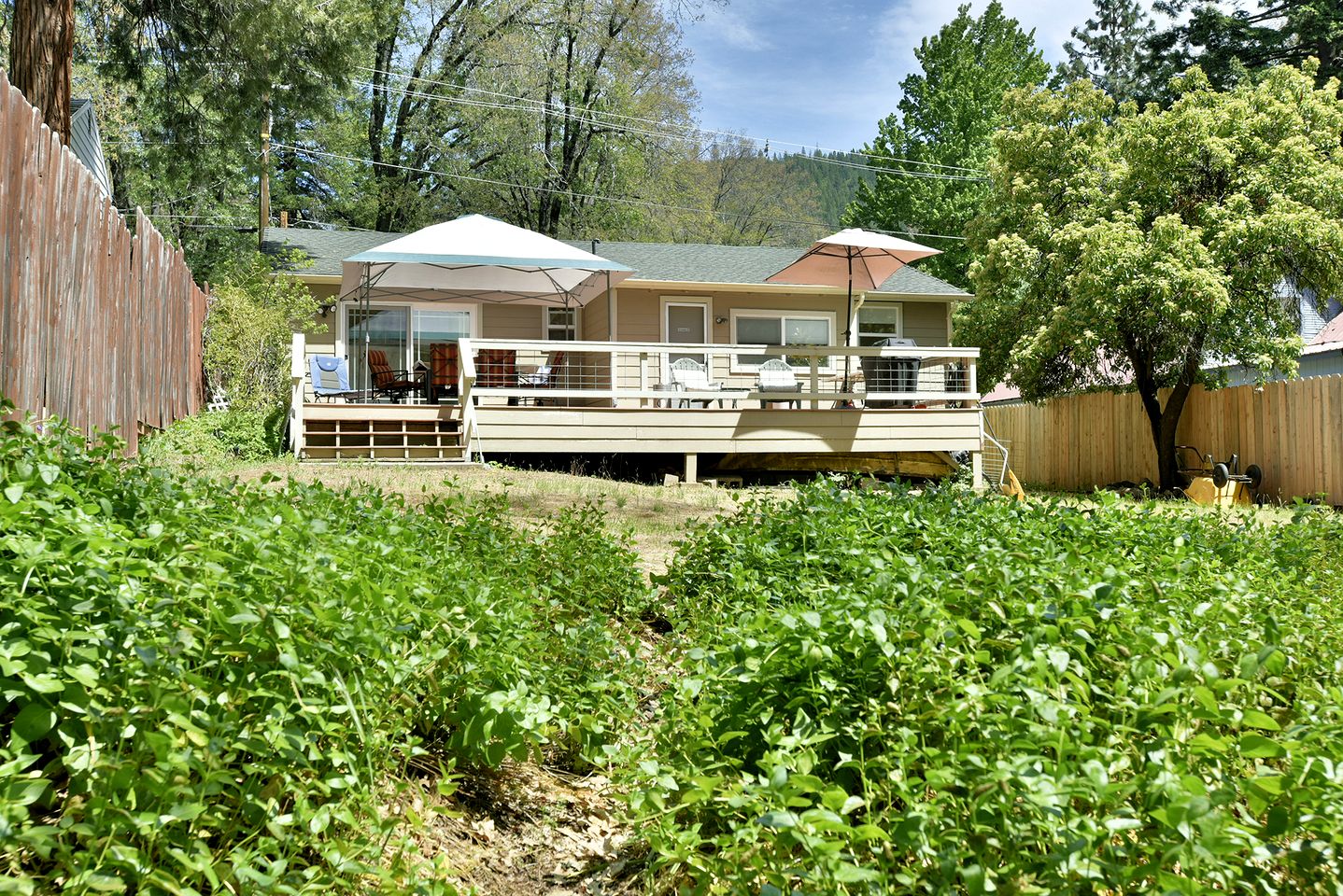 Cozy Mountain Escape with Nature Views and Modern Comfort in Dunsmuir, California