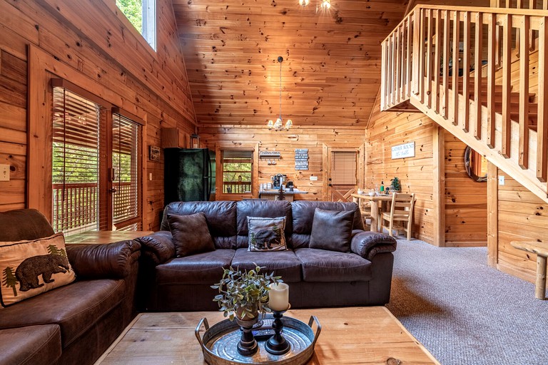 Log Cabins (United States of America, Sevierville, Tennessee)