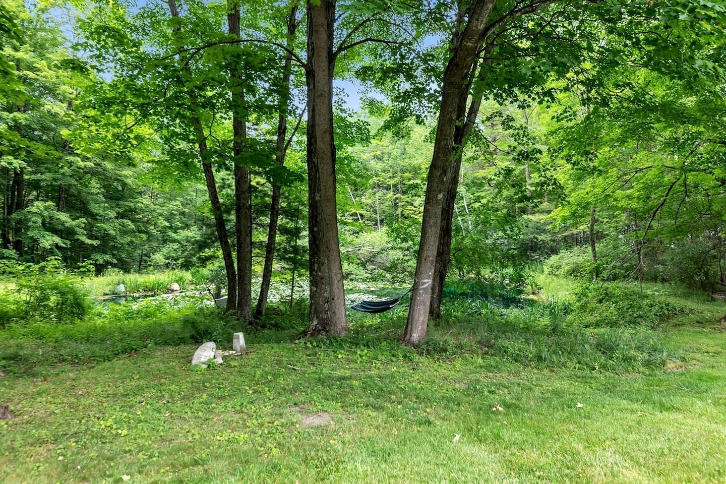 Awesome Cottage with Fireplace and Swimming Pool in Sunderland, Vermont