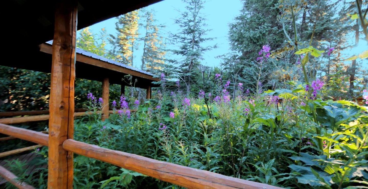Warm and Cozy Cabin Rental for a Wilderness Escape in Anchor Point, Alaska