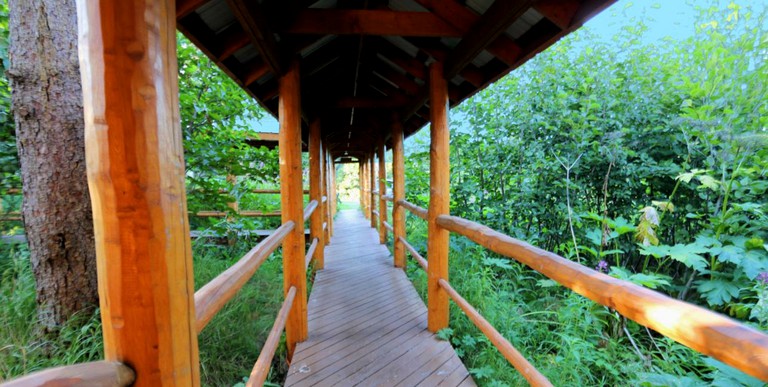 Log Cabins (Anchor Point, Alaska, United States)