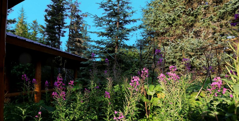 Log Cabins (Anchor Point, Alaska, United States)