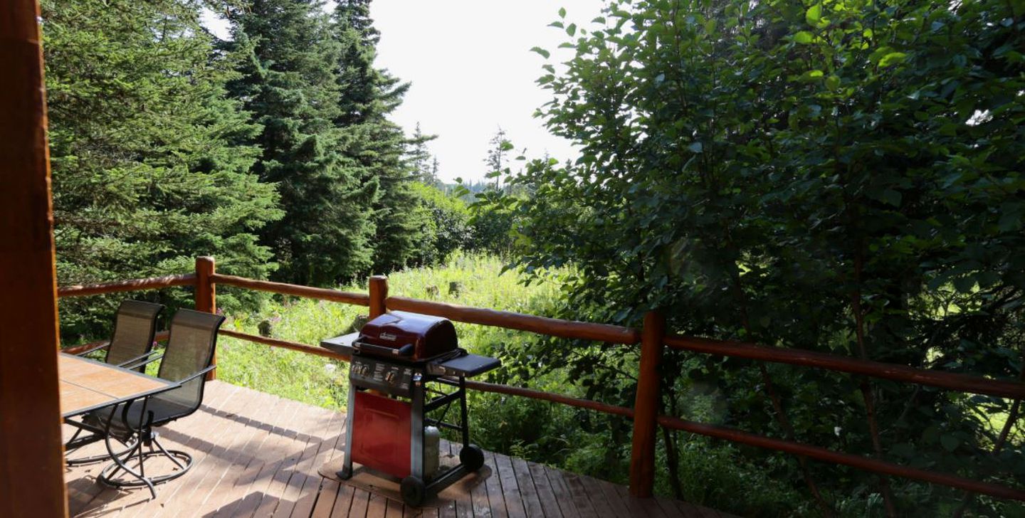 Warm and Cozy Cabin Rental for a Wilderness Escape in Anchor Point, Alaska