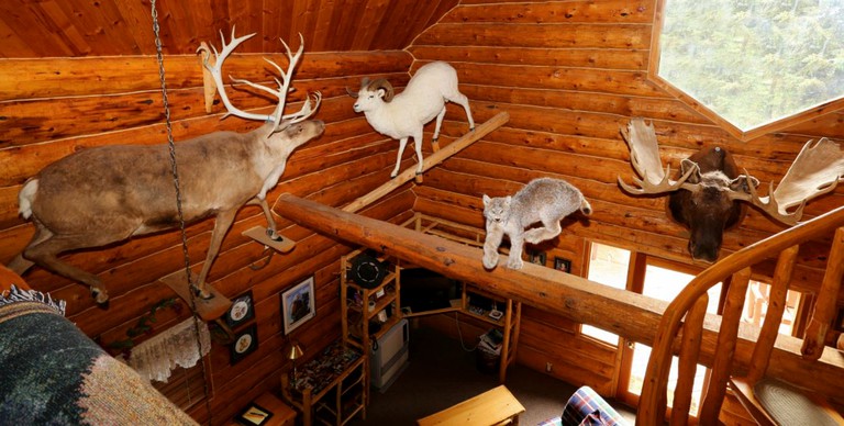 Log Cabins (Anchor Point, Alaska, United States)