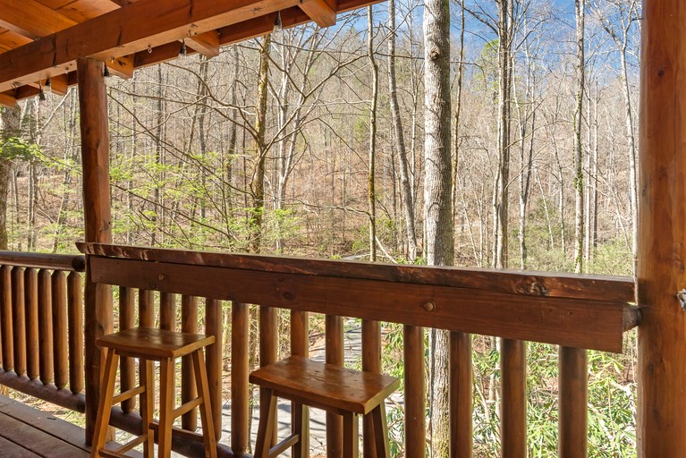 Cabins (United States of America, Sevierville, Tennessee)