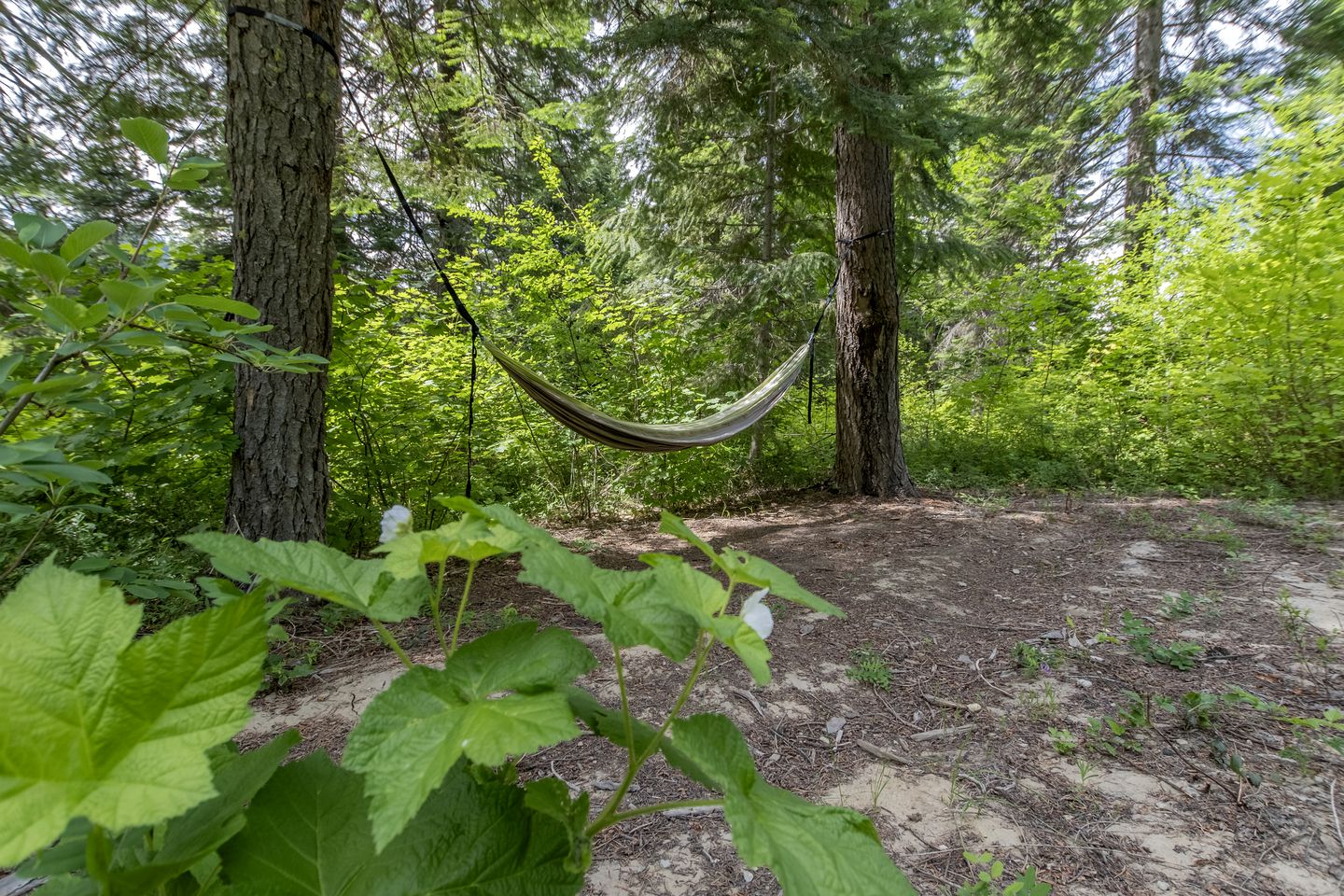 Pet-Friendly Luminous Cabin with Hot-Tub Perfect for Outdoor Activities in Leavenworth, Washington