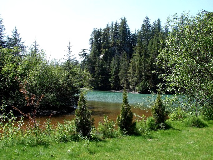 Bear's Den Cabins, Cabins 52787, Cordova, United States of America