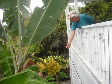 Enchanting Beach Vacation Rental with German-Speaking Hosts in Kailua Kona, Hawaii photo 4