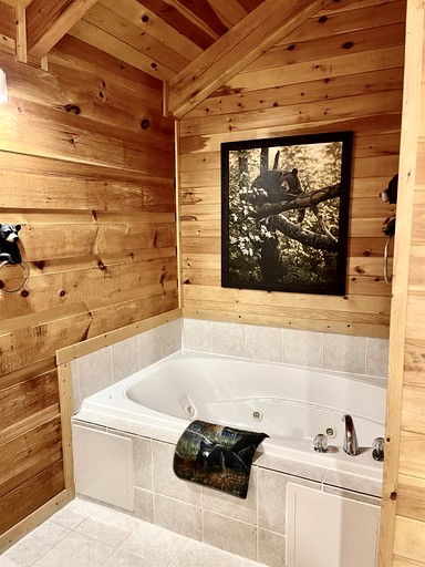 Cabins (United States of America, Gatlinburg, Tennessee)