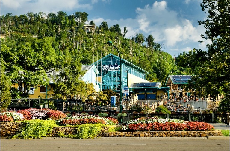 Cabins (United States of America, Gatlinburg, Tennessee)
