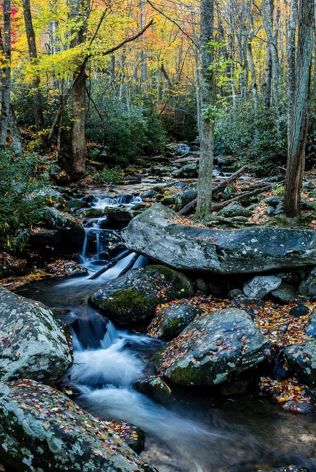 Outstanding Cabin with Hot-tub and Great Forest Views in Sevierville, Tennessee
