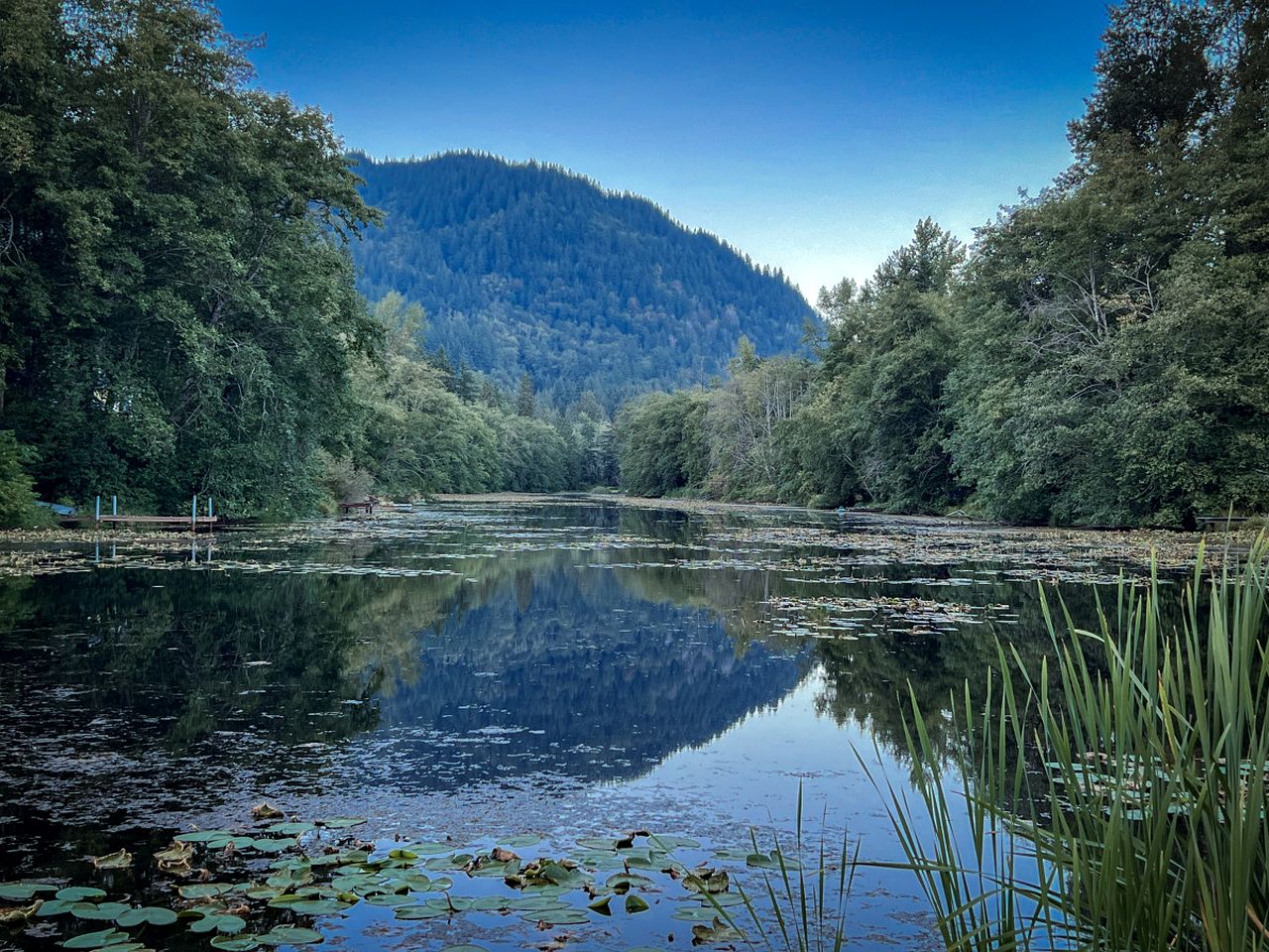 Luxury Private Cabin Beautifully Design with Beautiful Hiking Trails in Washington