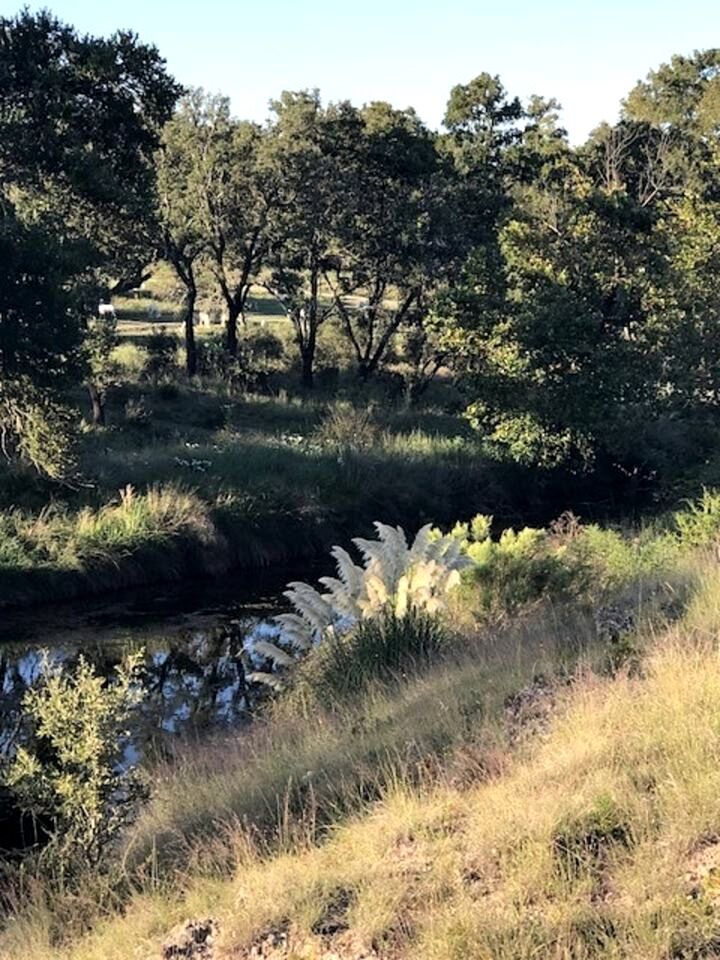 Beautiful Cabin with Deck and Hot Tub Overlooking Spring Creek in Texas