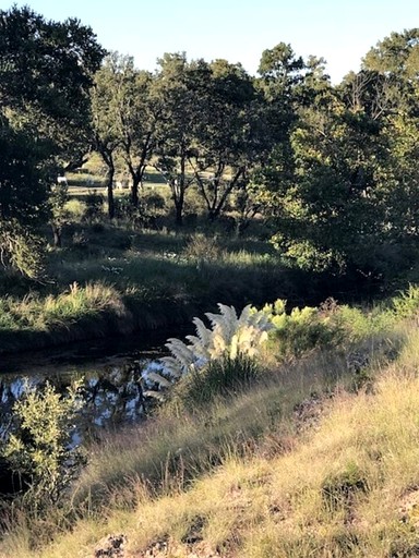 Cabins (United States of America, Fredericksburg, Texas)