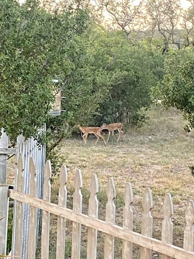 Cabins (United States of America, Fredericksburg, Texas)