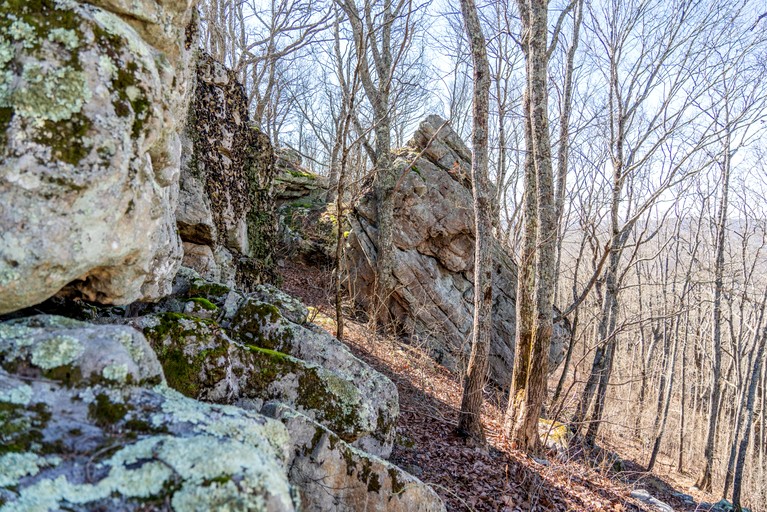 Cabins (United States of America, Rising Fawn, Georgia)