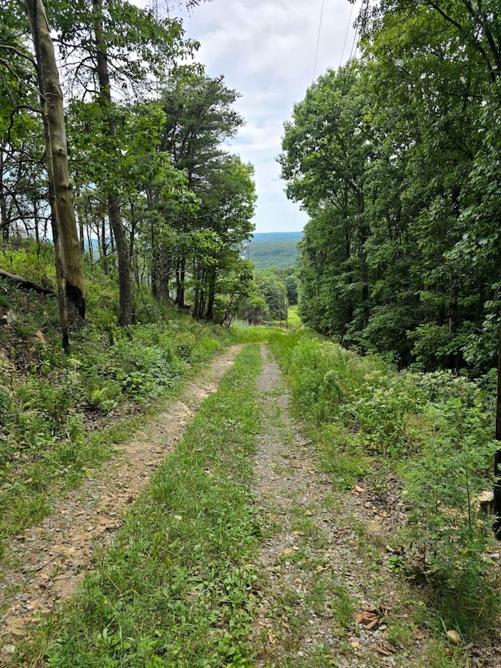 Beautiful Cabin with Spectacular Views for an Unforgettable Getaway in Nature near Rising Fawn, Georgia