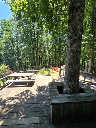 Cabins (United States of America, Rising Fawn, Georgia)