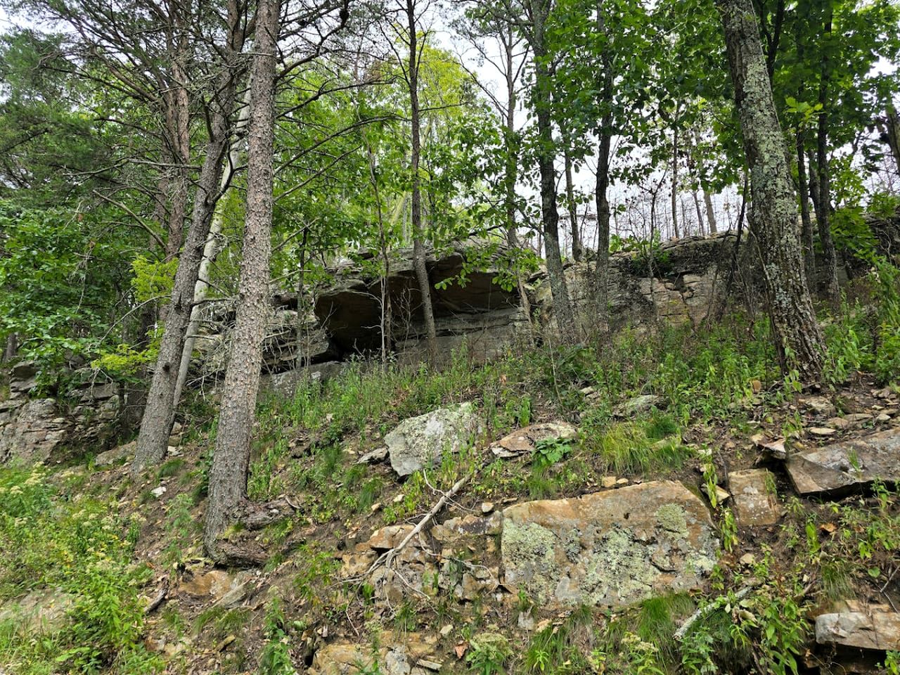 Beautiful Cabin with Spectacular Views for an Unforgettable Getaway in Nature near Rising Fawn, Georgia