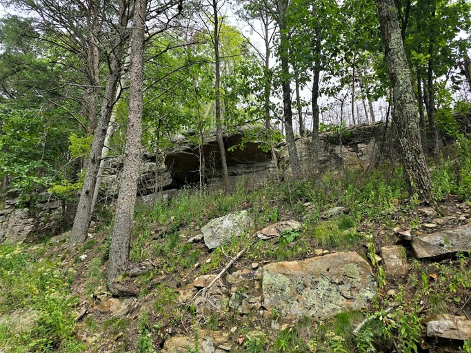 Cabins (United States of America, Rising Fawn, Georgia)