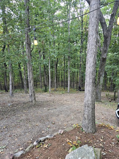 Cabins (United States of America, Rising Fawn, Georgia)