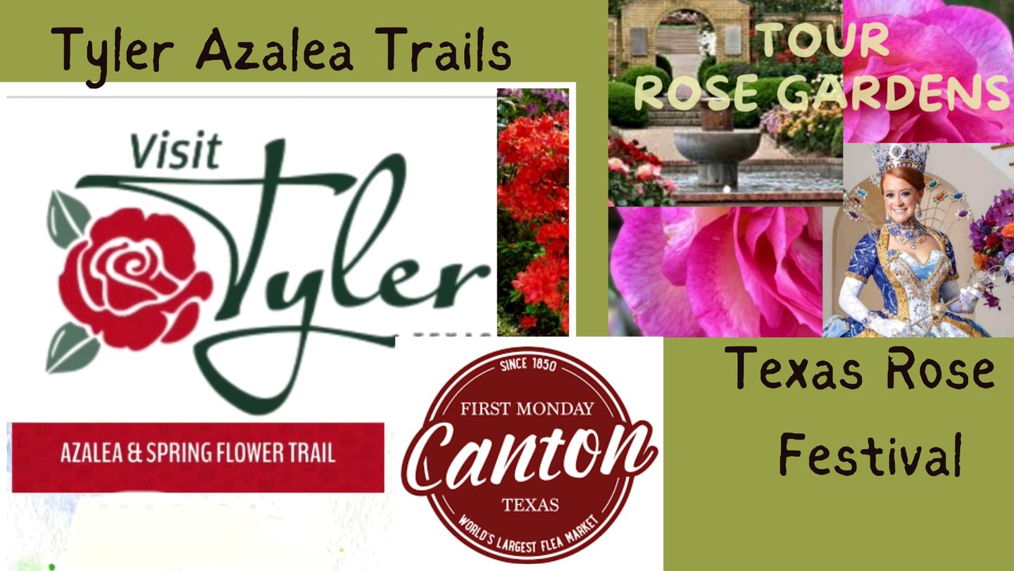 Beautiful Cabin Surrounded by Forest with Amazing Outdoor Amenities for a Peaceful Escape in the Outdoors in Ben Wheeler, Texas