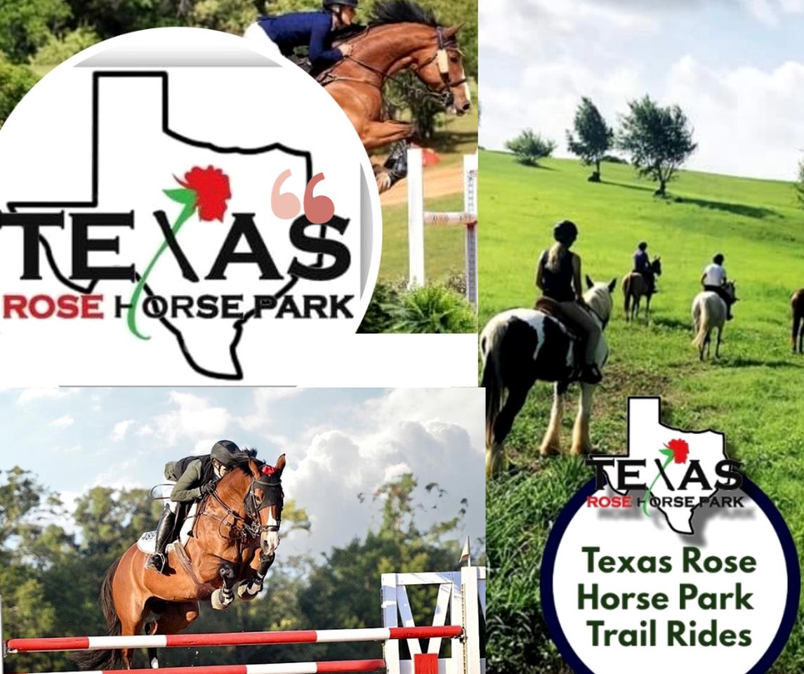 Beautiful Cabin Surrounded by Forest with Amazing Outdoor Amenities for a Peaceful Escape in the Outdoors in Ben Wheeler, Texas