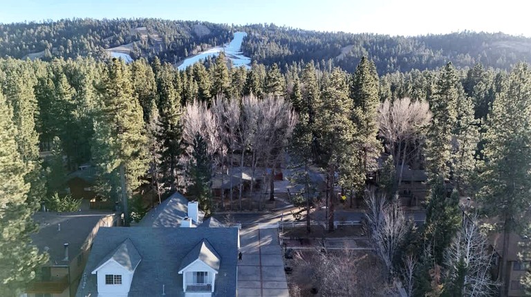 Cottages (United States of America, Big Bear Lake, California)