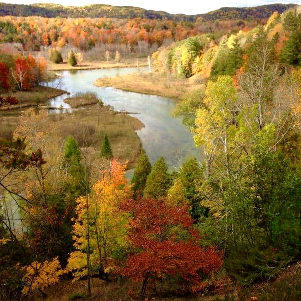 Beautiful Cottage Nestled Amidst Trees in Wellston, Michigan