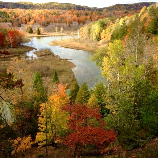 Cottages (United States of America, Wellston, Michigan)