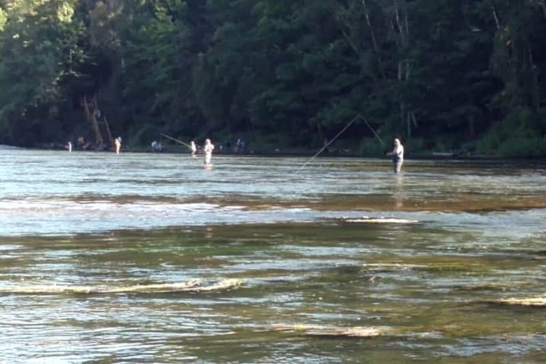 Cottages (United States of America, Wellston, Michigan)