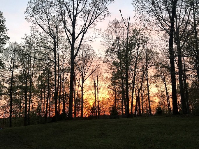 Barns (United States of America, Franklin, Tennessee)