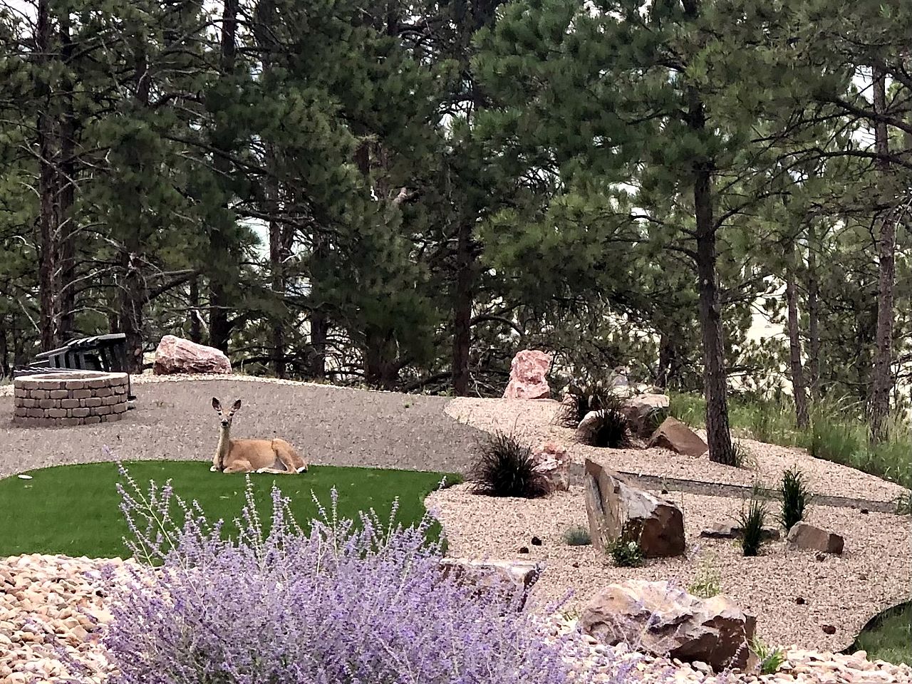 Beautiful Dome with Fire Pit in Hermosa, South Dakota