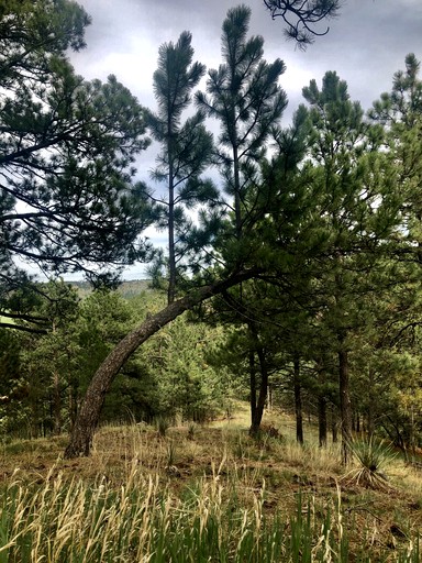 Domes (United States of America, Hermosa, South Dakota)